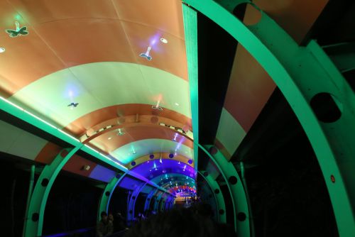 中の様子（注：上の写真のエスカレーターとは別のものです）