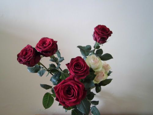 花束と美味しい食事は素敵なコンビ