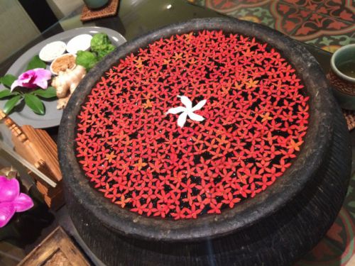 思わずため息がもれそうな美しい水鉢