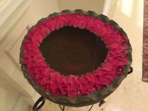 ブーゲンビリアのようです