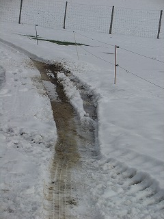 ２年前の車のスタックの際に、美しいスイスの田舎雪原風景を汚くしてしまいました、近隣住民の皆さん本当にごめんなさい。