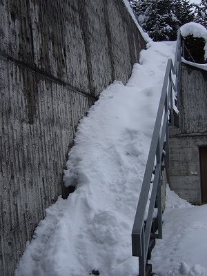 雪かきをしてもきりがないぐらいの積雪。階段を昇ろうとしたのですが……諦めました（苦笑）。