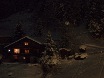 雪景色も雪も好きなのですが、あまり降りすぎませんように！