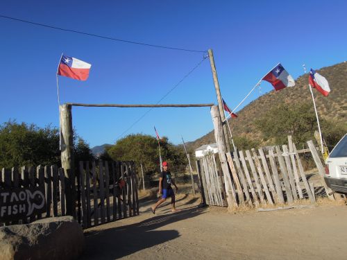 山にはサボテンと背丈の低い木のみが生える乾燥地帯のクラカビ