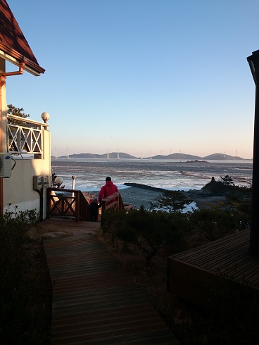 このペンションでは、１月末、冬の海でも週末はお客さんが多く空き室が少ないそう