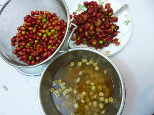 なかなか大変な作業。。。