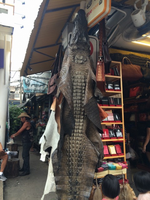 ワニの姿皮だってあるんだから、何だってありそうなものですが…