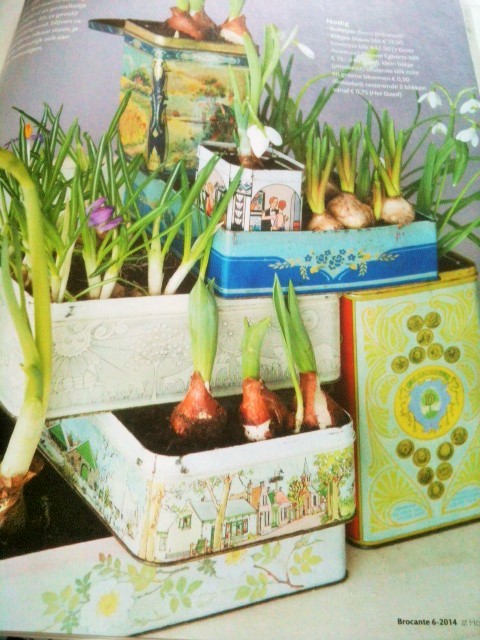 アルミ缶がマーケットなどで簡単に手に入るからこそ！