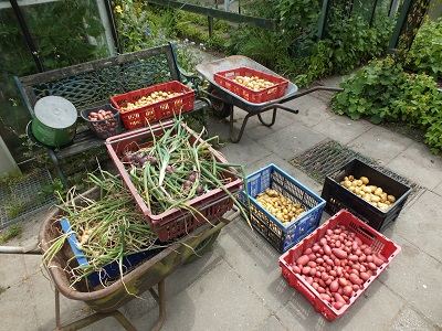 こんなにたくさんの収獲が！