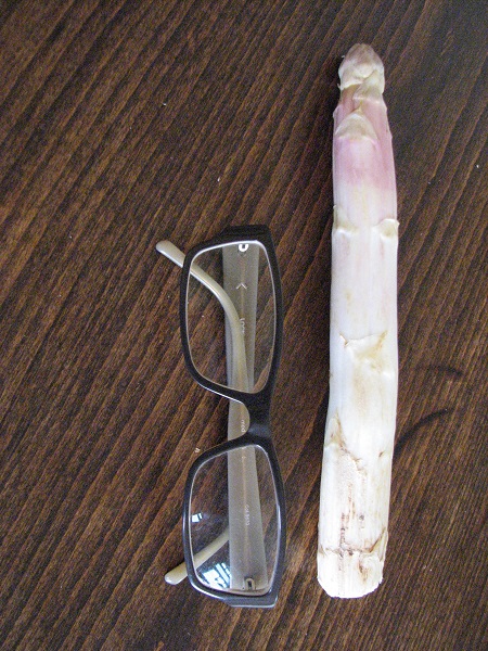 メガネと一緒にすると...