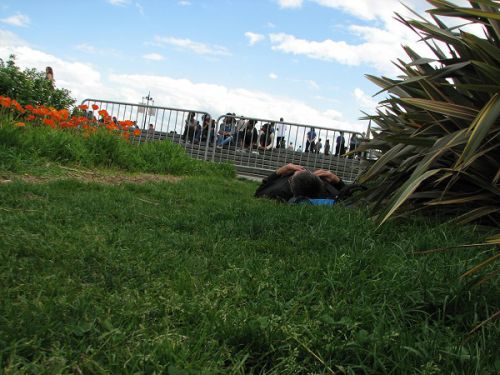 まさにお昼寝中のおじさま