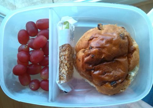 典型的なティーンのお弁当箱。かなり質素。