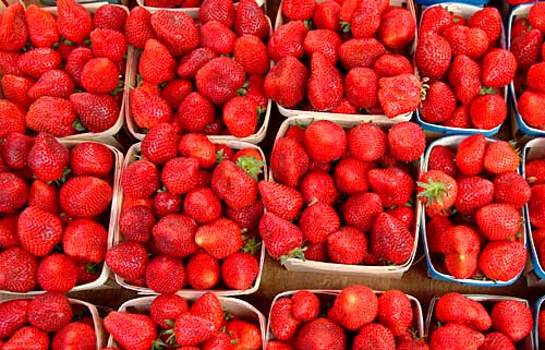 地生りは高価なイチゴ。