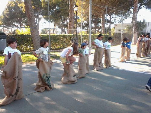 子どもを年齢で分けずに競技をするところがかえって気に入りました