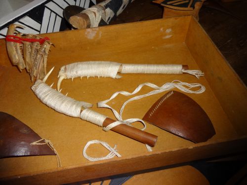 シングー国立公園の部族の一部で使用されている鋭利な魚の歯で作られた身体に傷を付けて血を出す道具