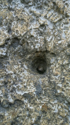 戦争の爪あとを残す壁面