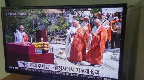 お寺での雨乞い祈祷を伝えるYTNニュース