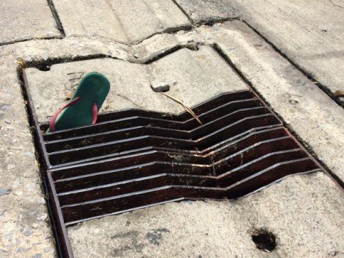 排水溝には色々なゴミが挟まっていました