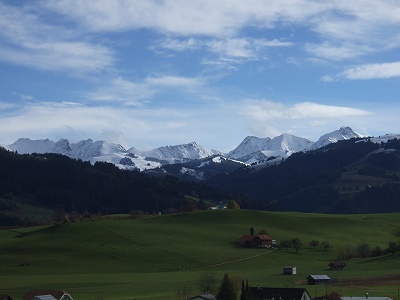 車を使わず、歩けばこういった風景をゆっくり堪能できますね♪
