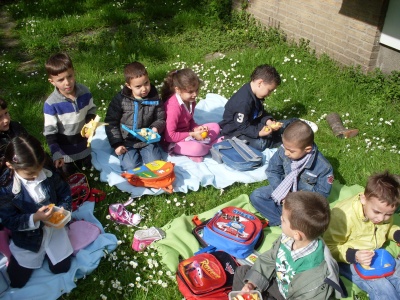 ピクニックもいいけれど・・・。