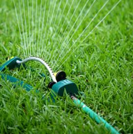 スプリンクラーで散水