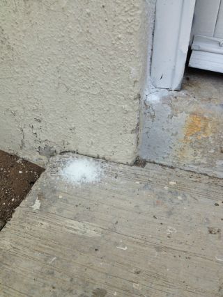 お清めの盛り塩も、メキシコでは「呪い」の意味に。