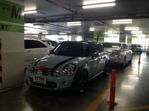 真っ赤なお鼻にトナカイの角、いかがですか