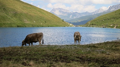 海外旅行へ行かなくとも、スイスにはたくさん風光明媚な場所があります♪