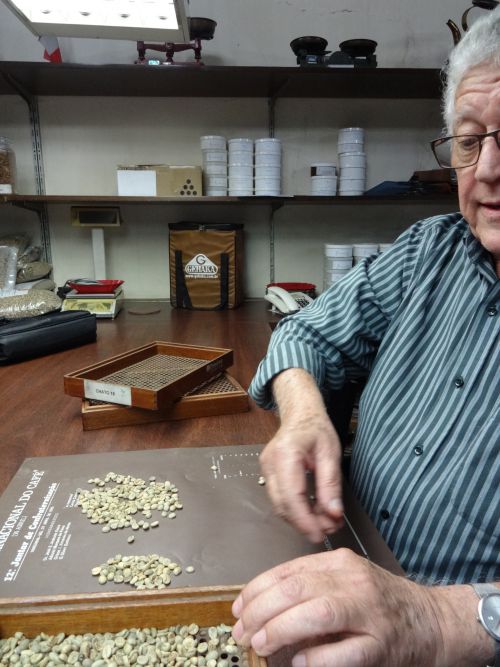 コーヒーの生豆を選別するコーヒー鑑定士のミルトンさん