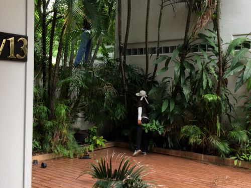 下で作業を見守る助手の女の子