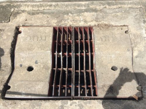 中には見たくない世界が広がる排水溝