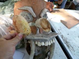 マンゴーの種が、お面の鼻にもなります。