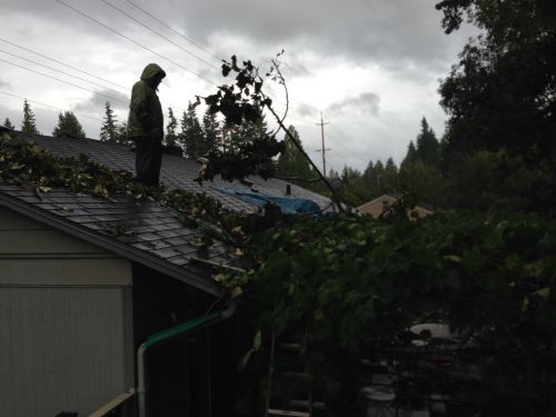 ビニールシートで屋根の穴をふさぐ応急処置をしました