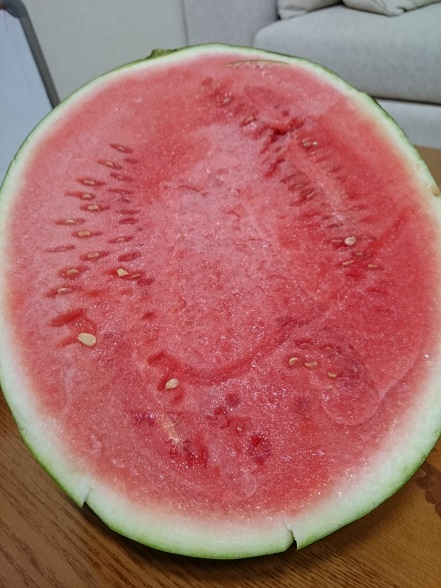 黒い種がなく食べやすい種無しスイカ