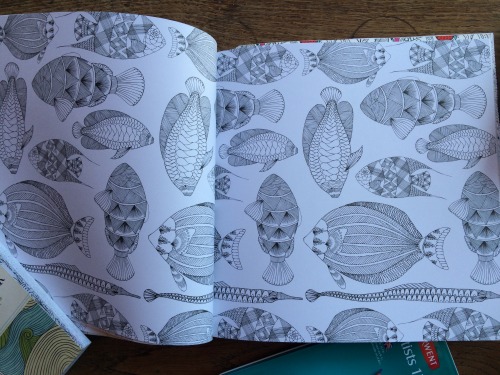 植物や動物、パターンなど絵は様々