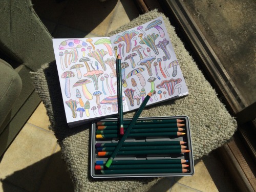 午後の日差しの中、お茶を飲みつつぬり絵をするというのも良いですね