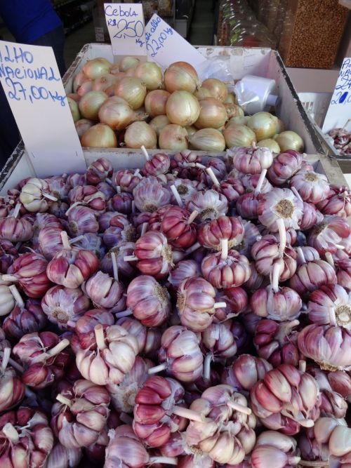 ニンニクとタマネギ