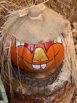 ハロウィーンの行事はともかく、スイスではカボチャに対する愛情は深そうです。