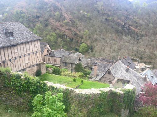 景色はのどかで見ていて飽きません