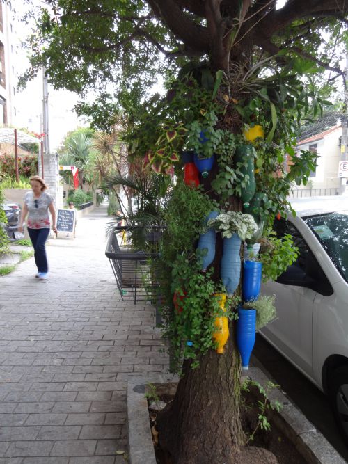 街路樹にくくりつけられたハーブと草花