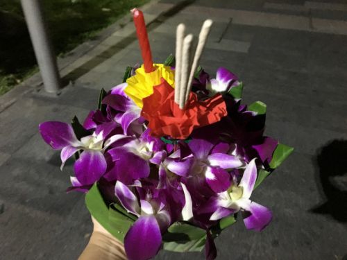 私もクラトンを購入