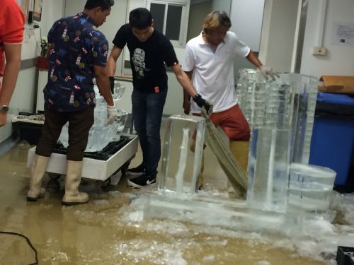 最初は四角い氷の塊です