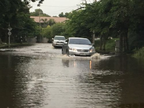 今年は雨が多い年のようです
