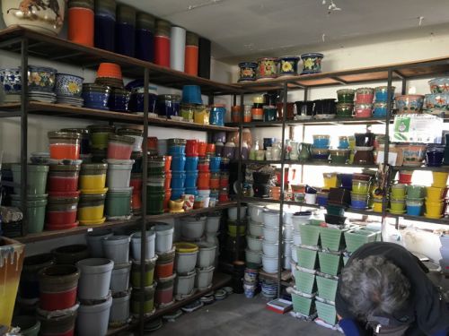 ついでに新しい鉢も買っておきます