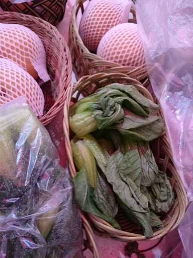 青梗菜…凍っていても食べれらますけどね