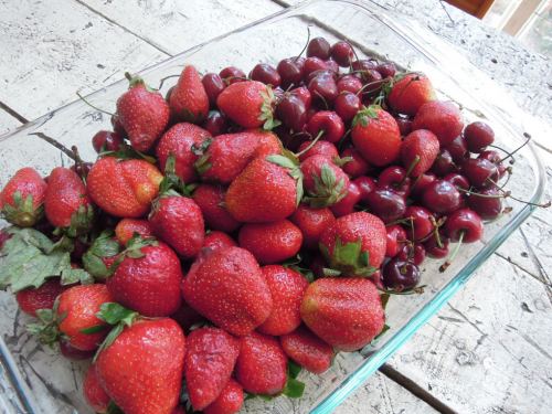 1キロ約400円ほどで売られているイチゴ