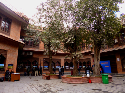 広い中庭にたくさんの写真が展示されています。