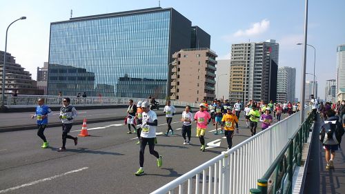 気候がよくて気持ち良さそうです。