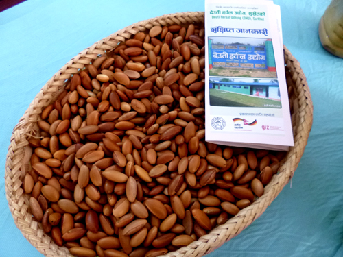 このまま食べたい大粒ナッツですが…