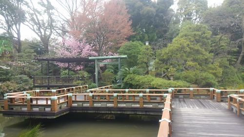 原宿にこんな池があるなんて。